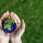 comercio internacional sostenible