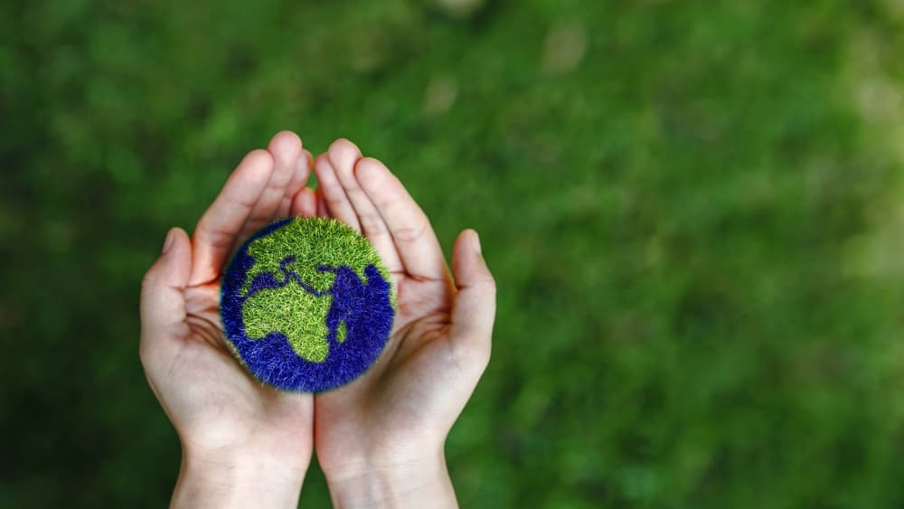 comercio internacional sostenible
